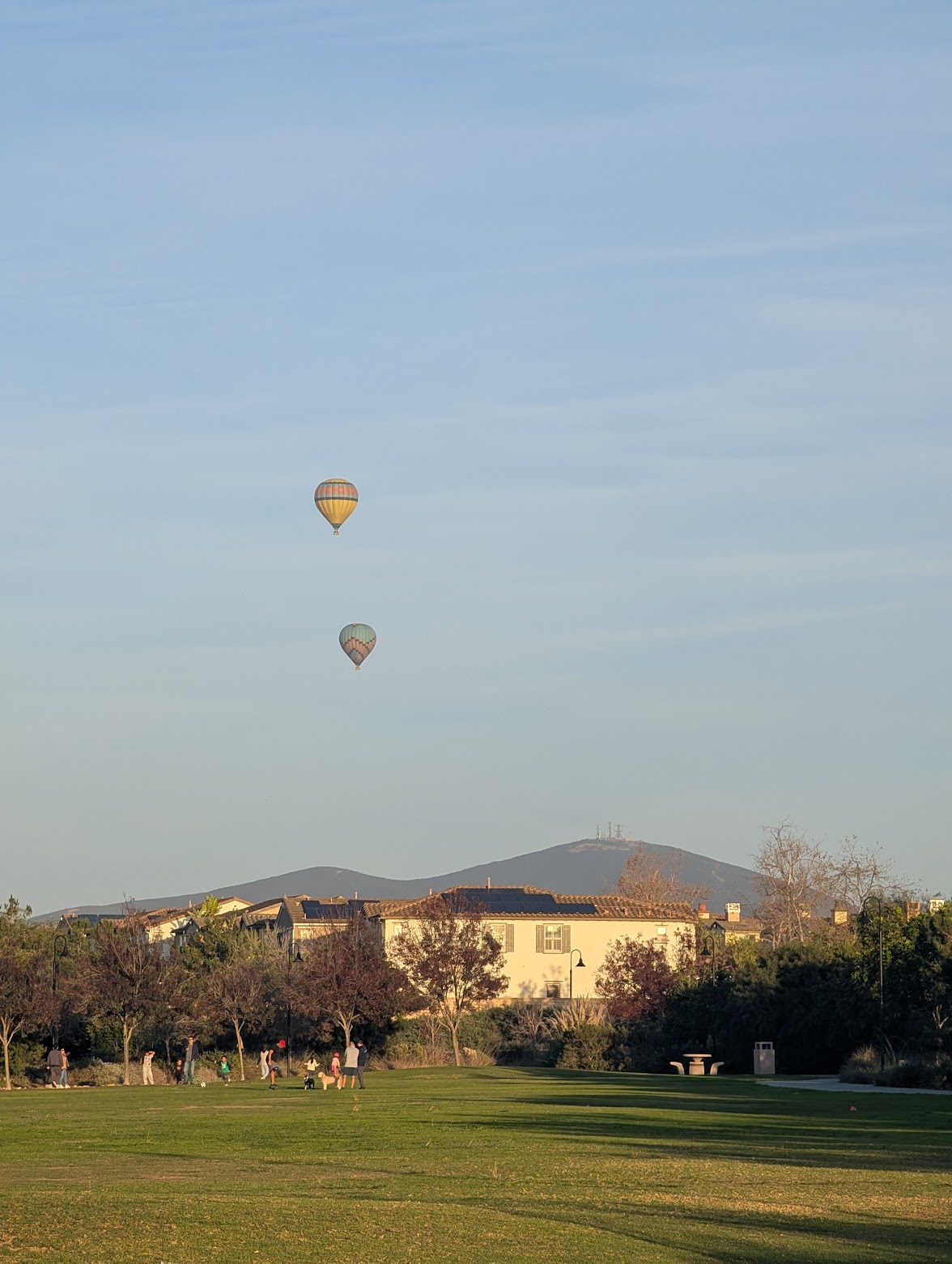 Balloons photo