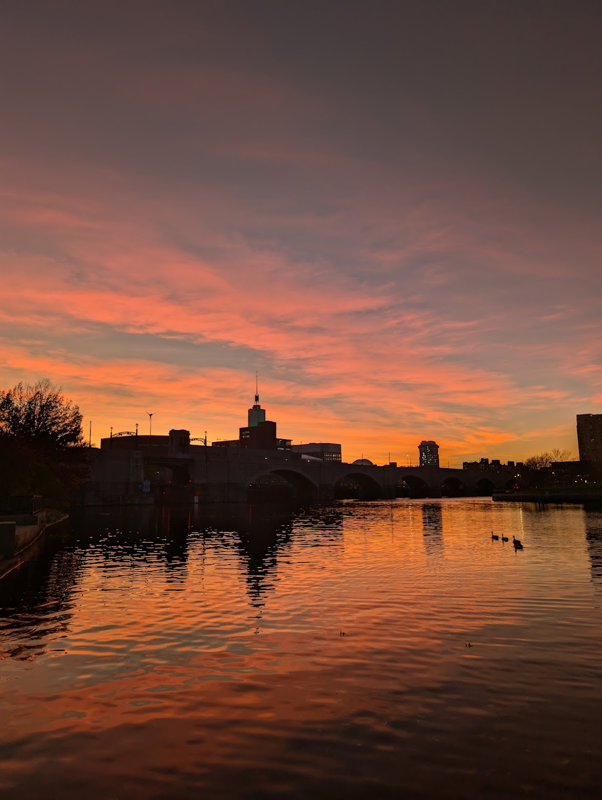 Boston photo