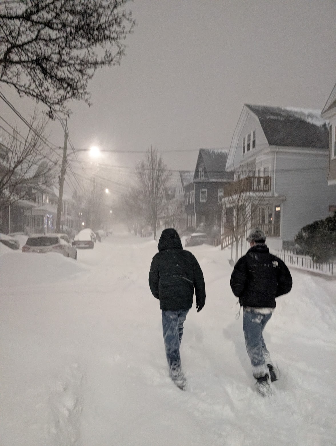 Snow photo