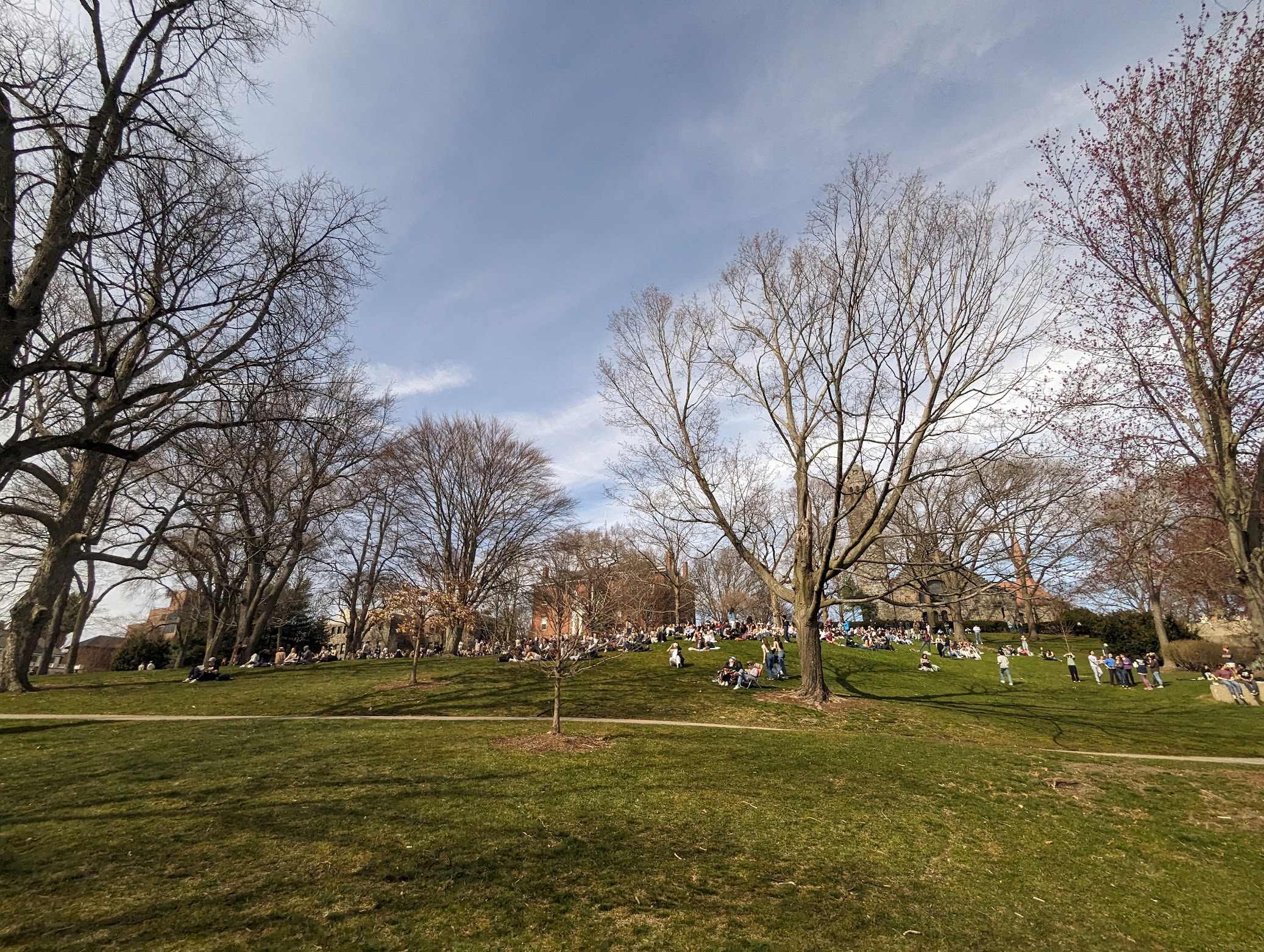 Spring photo